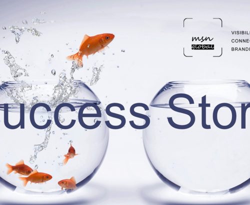 MSN Global IT Solutions success story